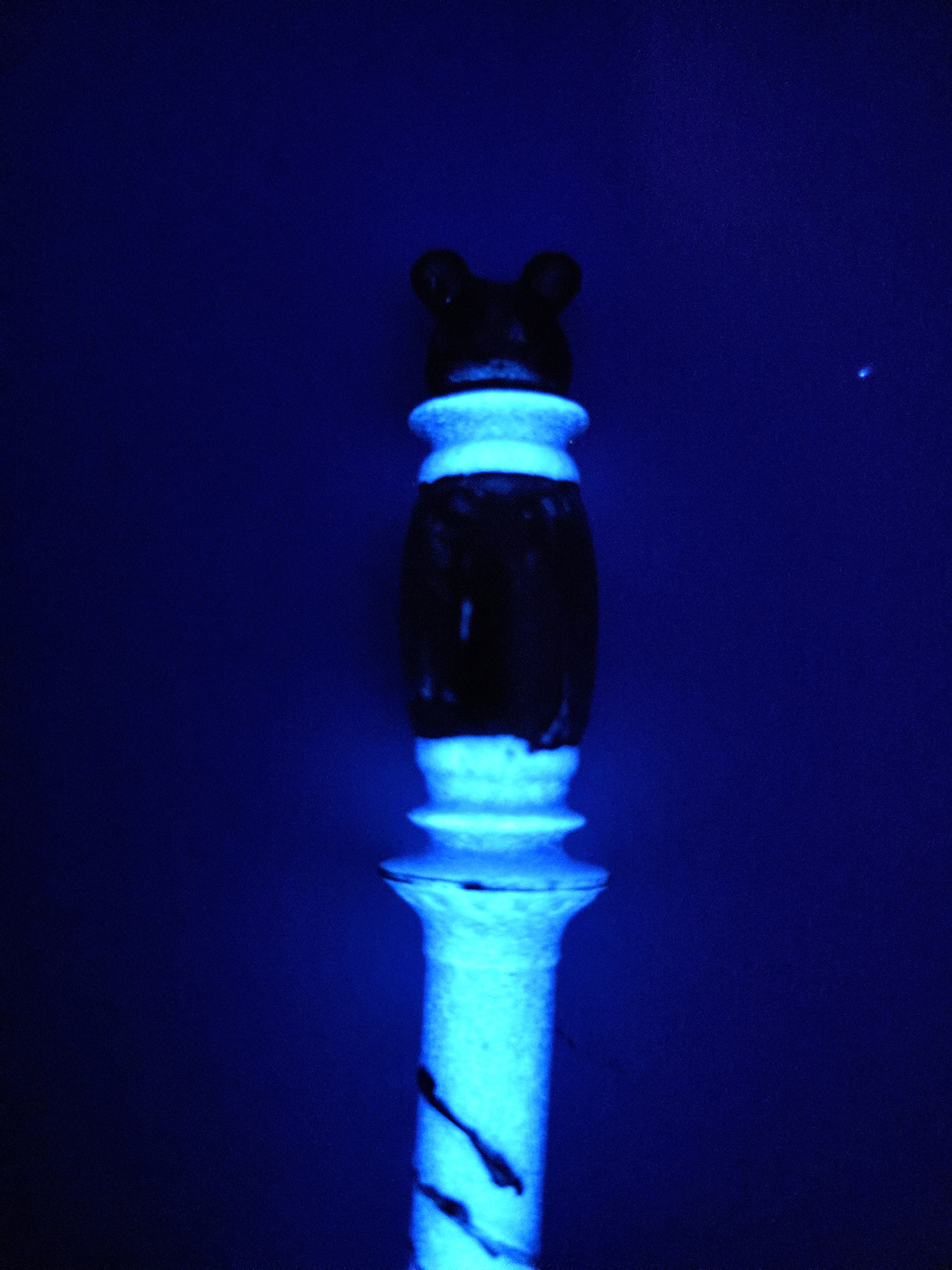 🌙🐭 Celestial Cuddle Glow Pen 🐭🌙
