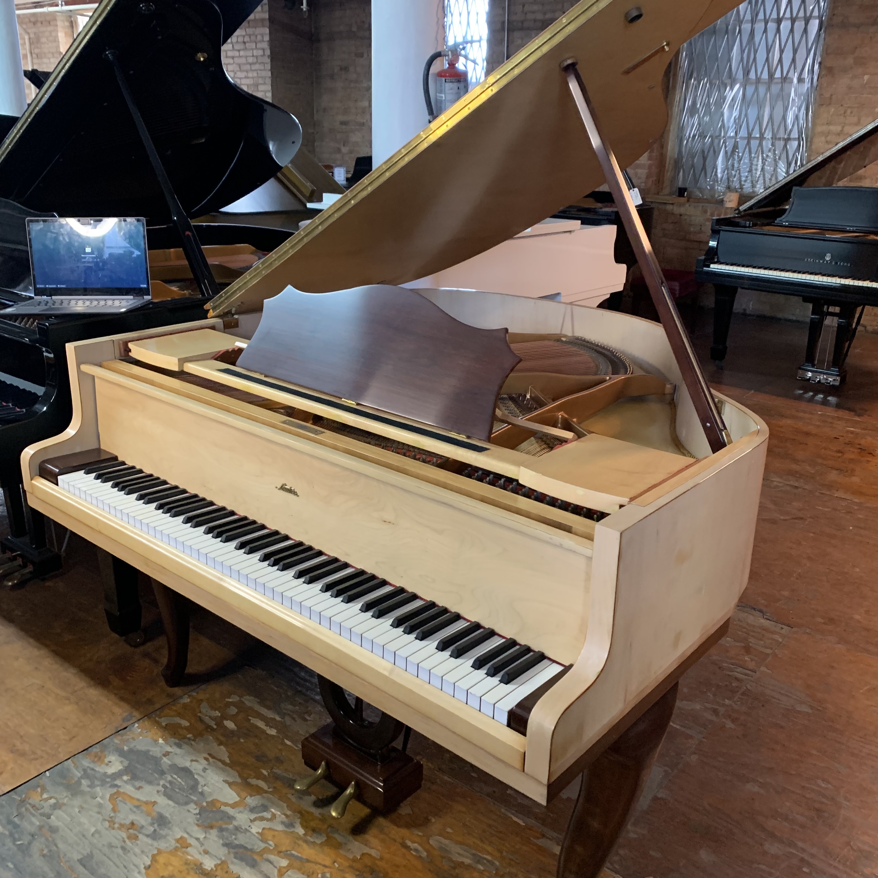 Sauter Small Baby Grand 