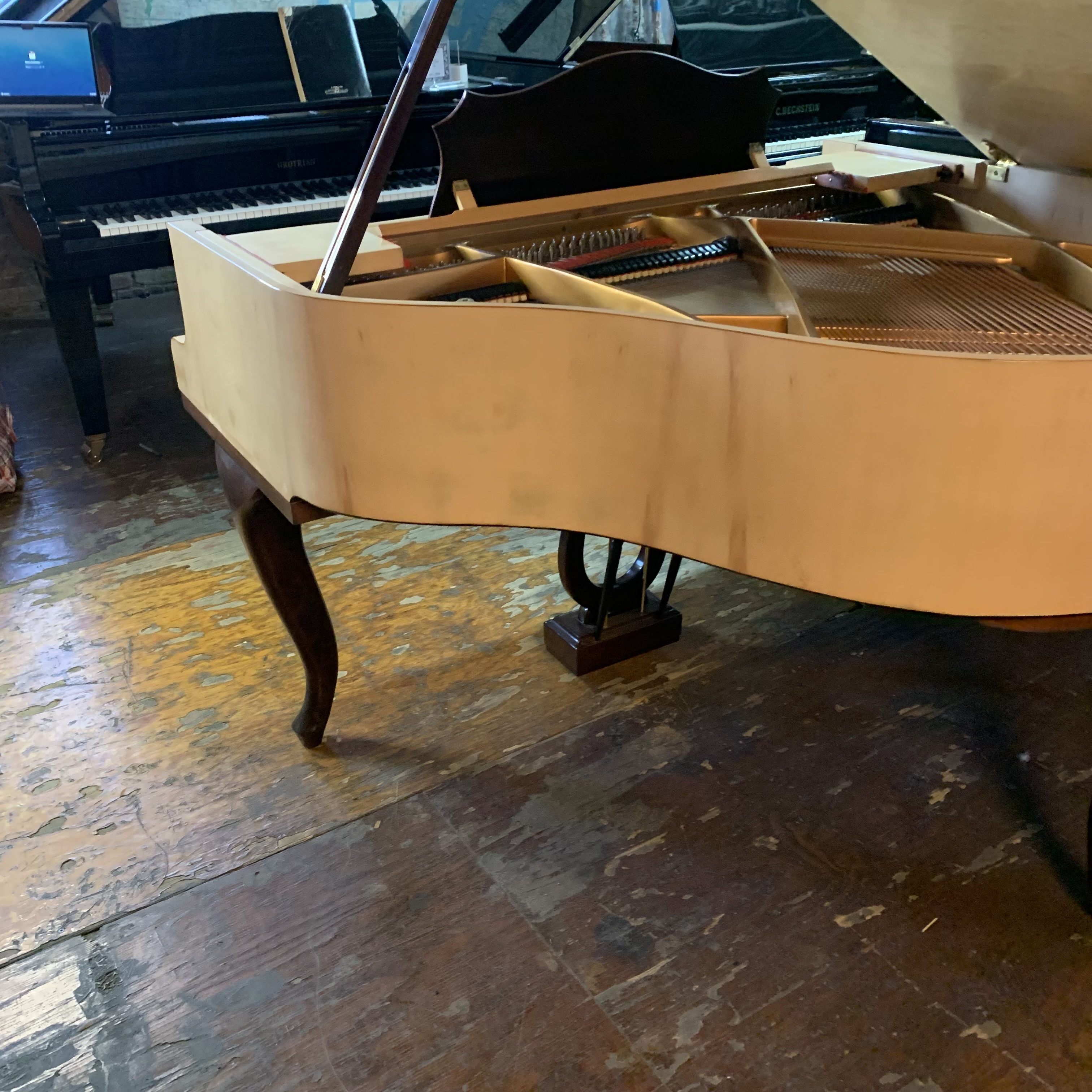 Sauter Small Baby Grand 