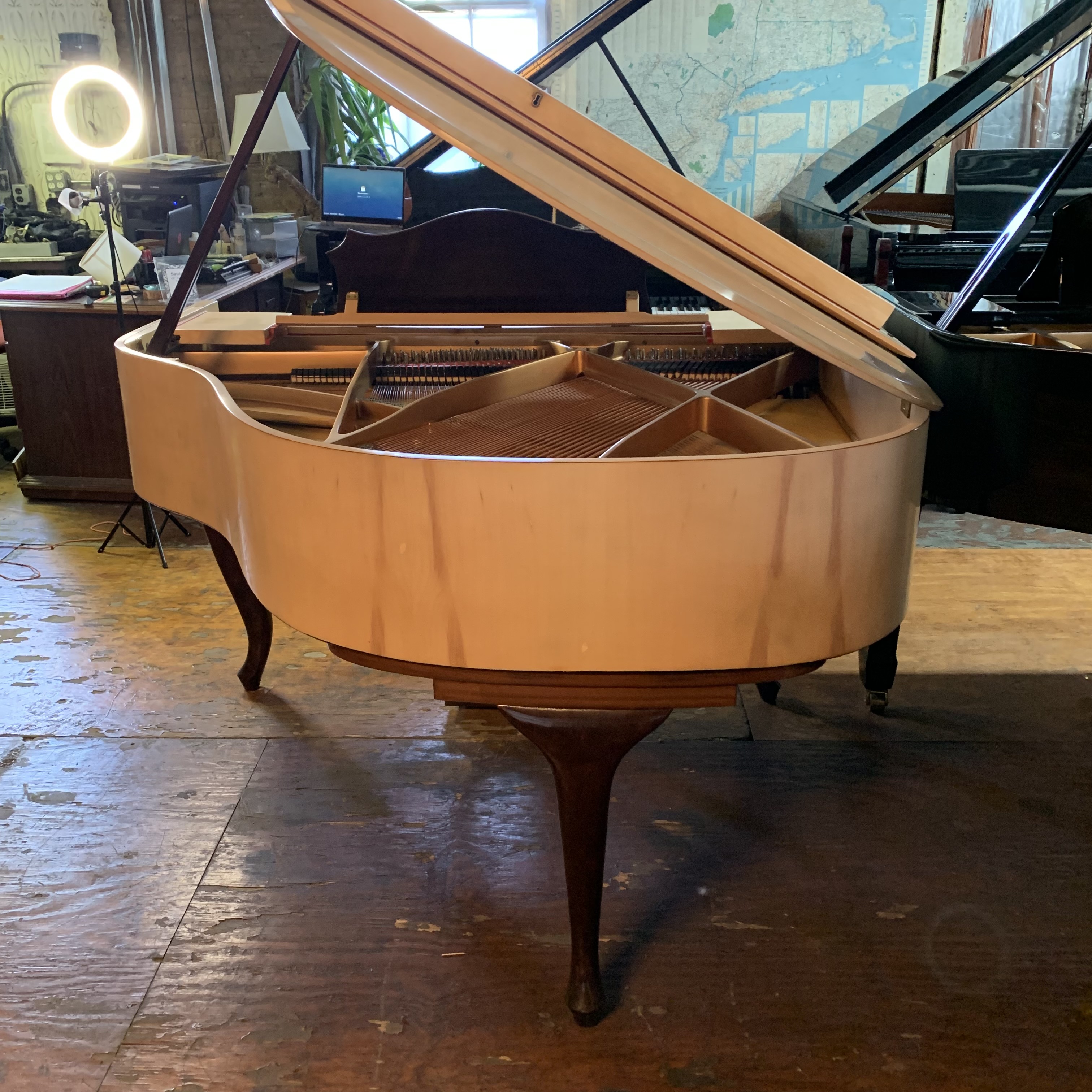 Sauter Small Baby Grand 