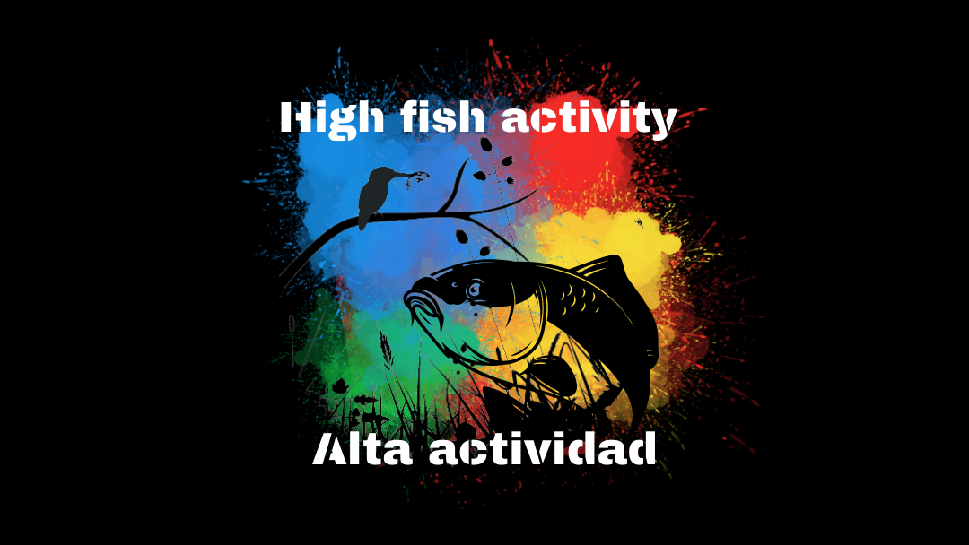 Alta actividad | High activity