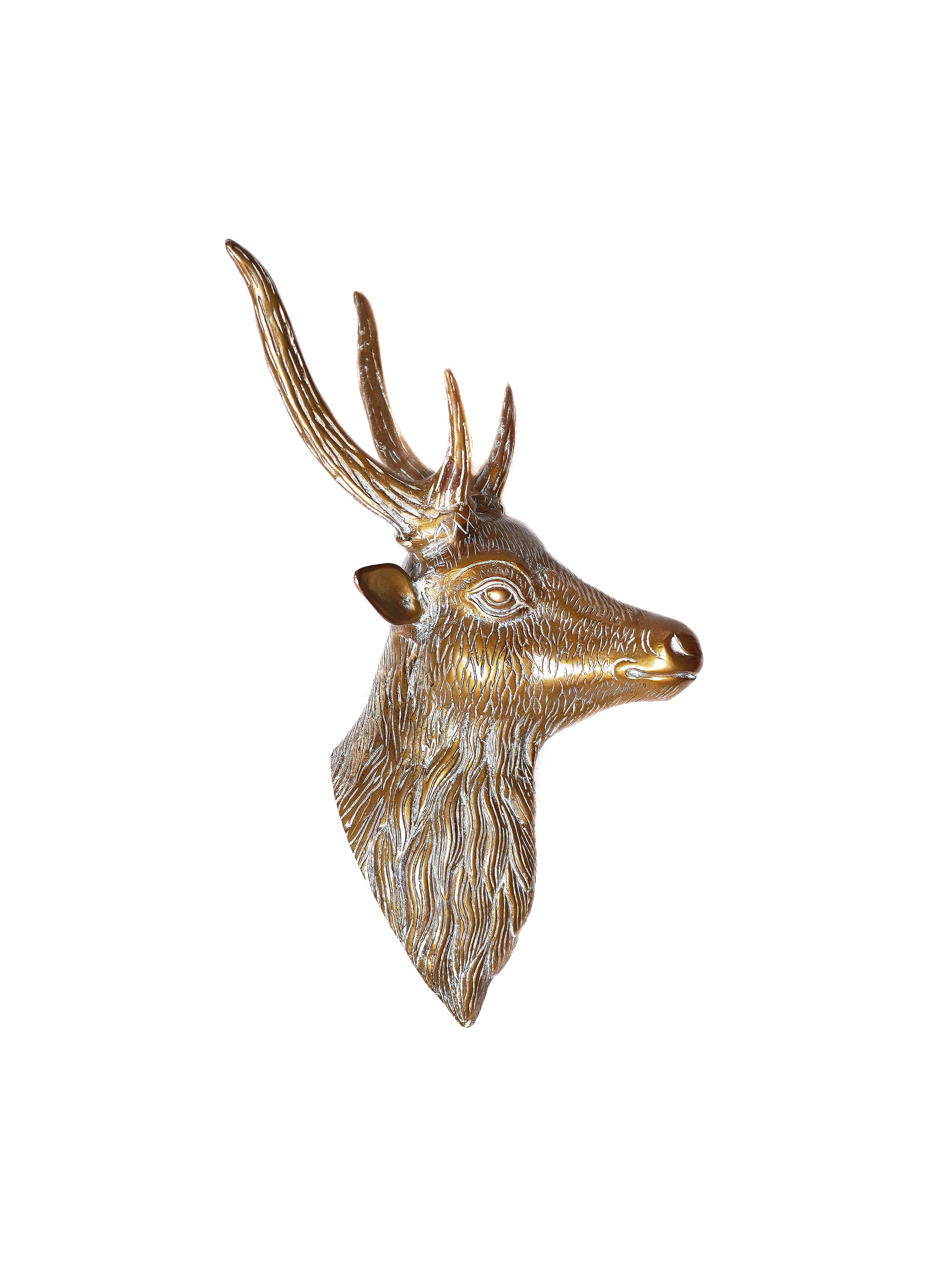 Brass sculpture wall decor | golden buck with antlers | made in India