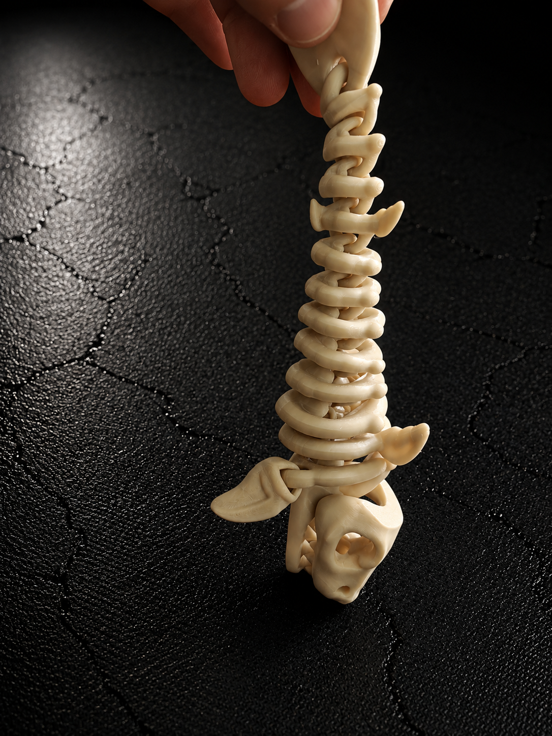 Squelette de poisson décoratif