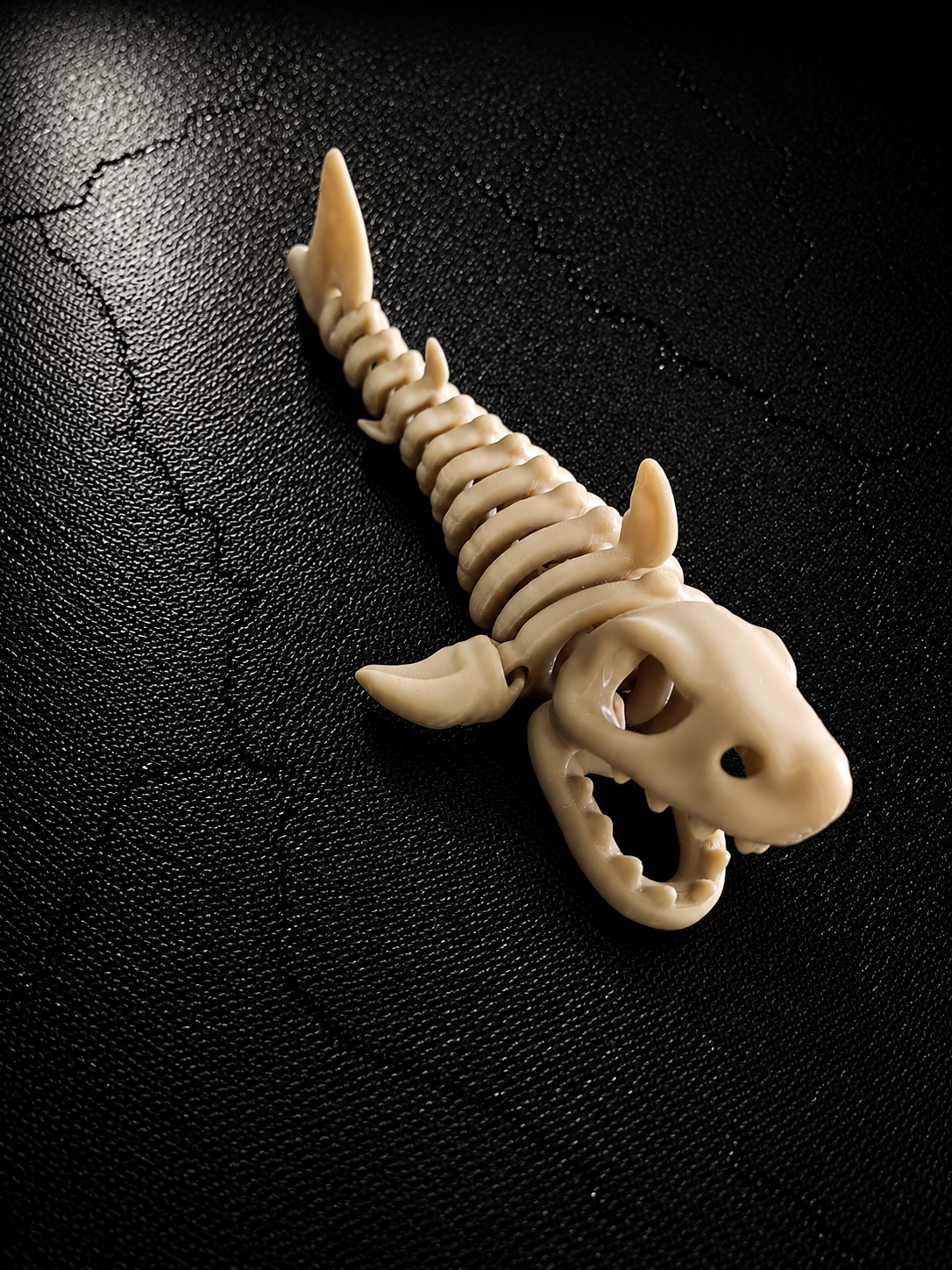 Squelette de poisson décoratif
