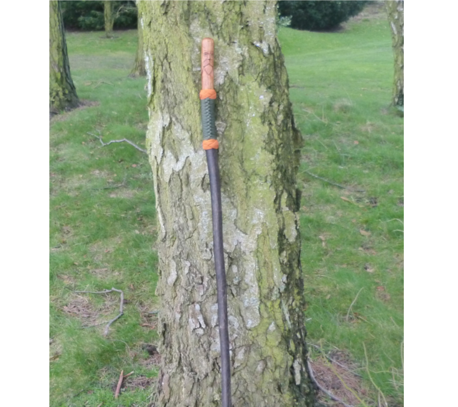 Blackthorn and Wood Spirit Walking Staff