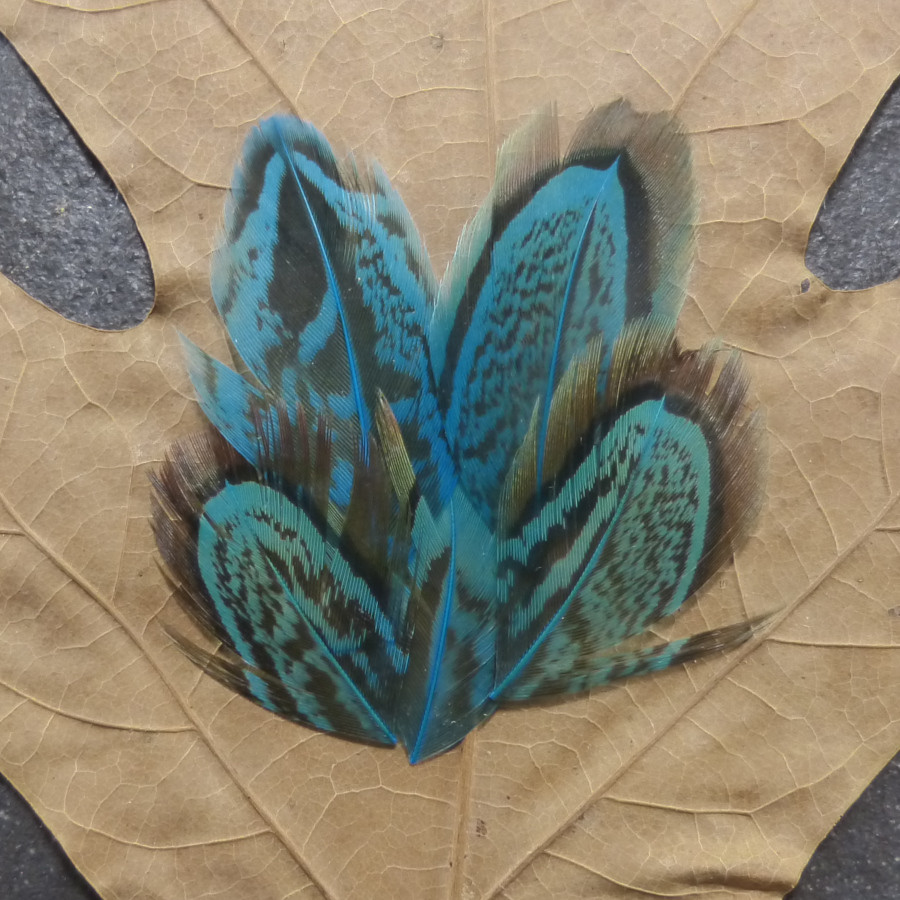 Cathedral Window - Tourquise