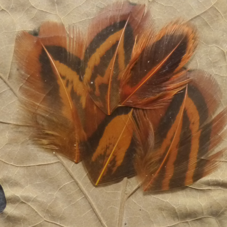 Cathedral Window - Tan/Gold