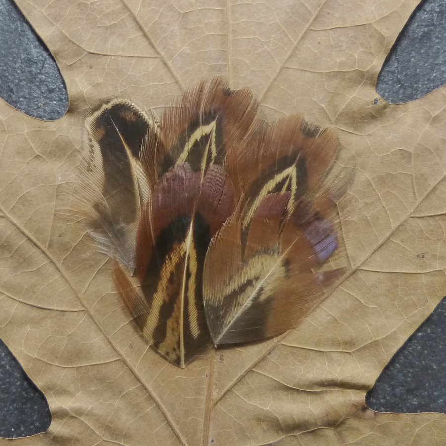 Cathedral Window - Natural