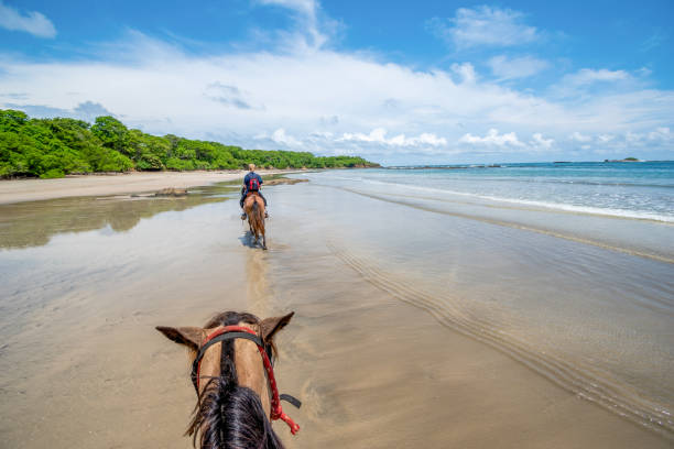 From Tamarindo To Liberia Airport (LIR)