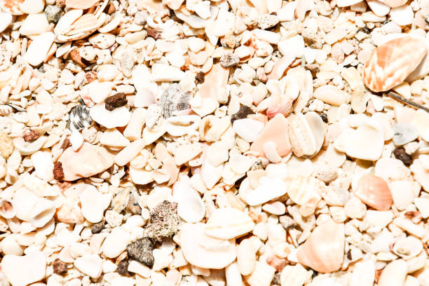 From Liberia Airport (LIR) to Conchal Beach