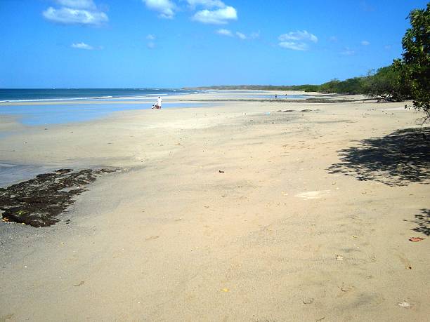 From Liberia Airport to Avellanas Beach