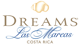 From Liberia Airport to Dreams Las Mareas Hotel