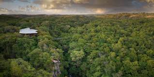 From Liberia Airport (LIR) to Rio Perdido