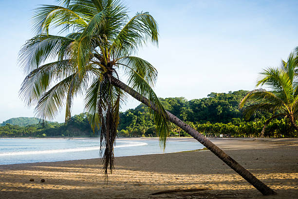 From Liberia Airport (LIR) to Santa Teresa / Malpaís / Montezuma