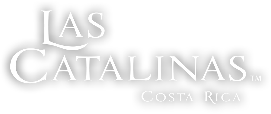 From San Jose Airport (SJO) to Las Catalinas