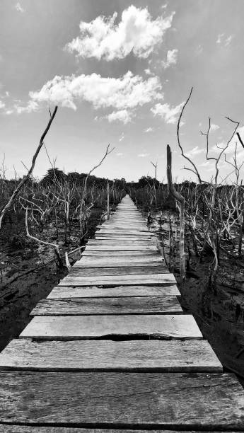 From San Jose Airport (SJO) to Junquillal / Negra / Avellanas Beach