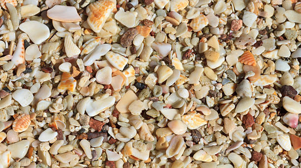 From La Fortuna / Arenal to Conchal / Flamingo Beach