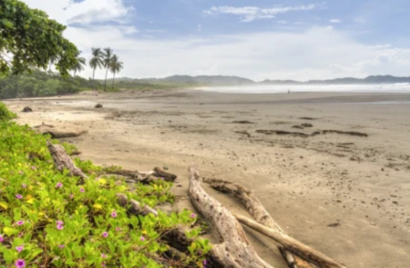 From La Fortuna / Arenal to Nosara