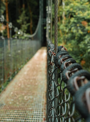 From La Fortuna / Arenal to Monteverde