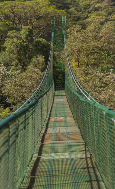 From La Fortuna / Arenal to Monteverde