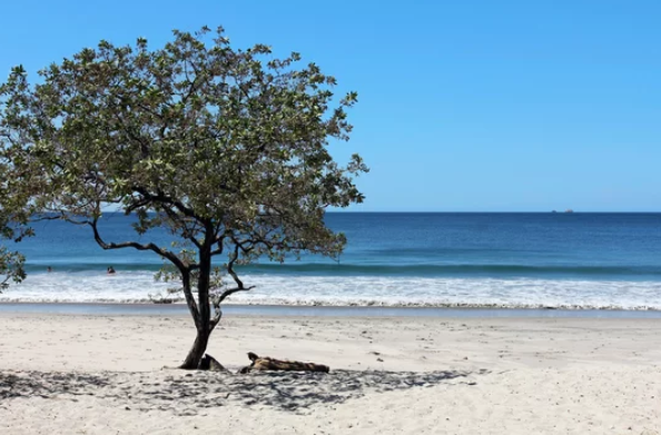 From La Fortuna / Arenal to Flamingo / Potrero Beach