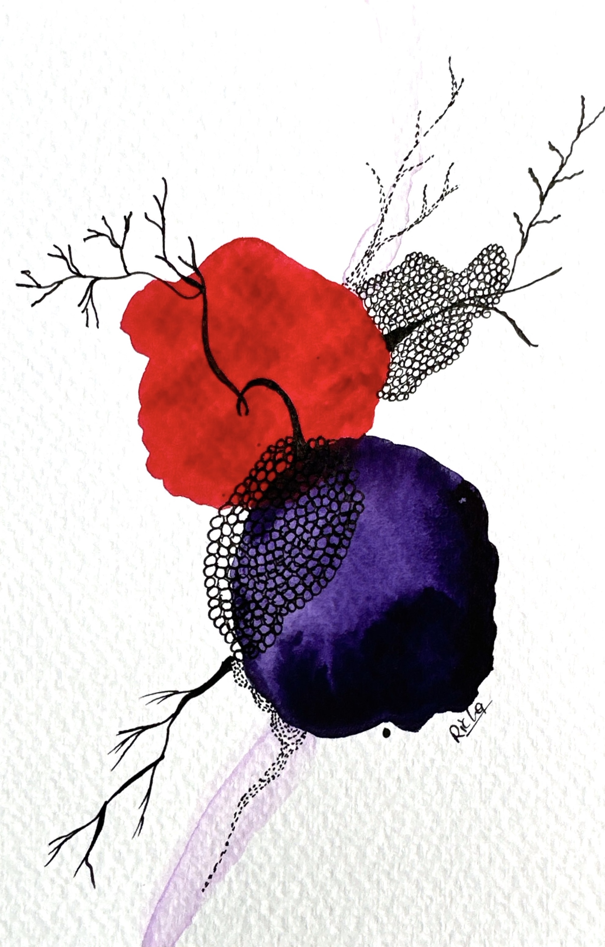 Duality of Bloom