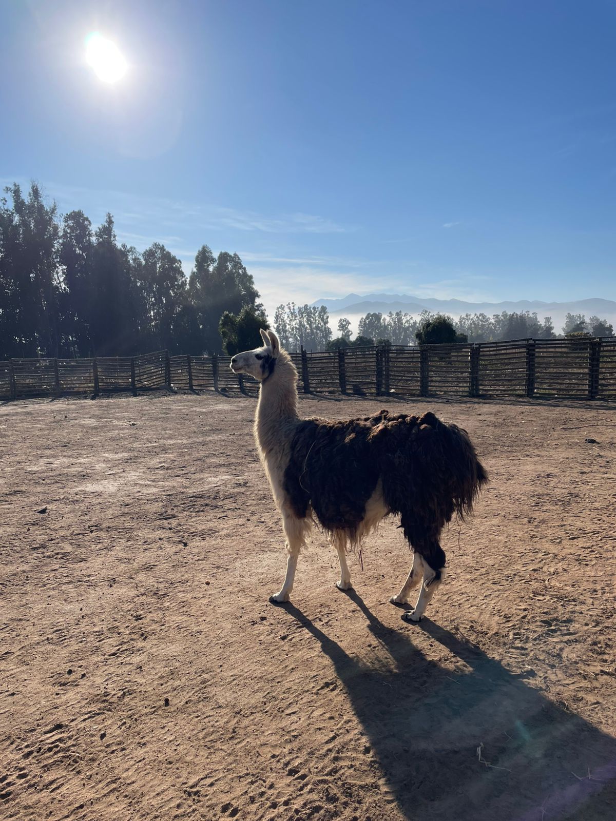 Viña del Mar e Valparaíso