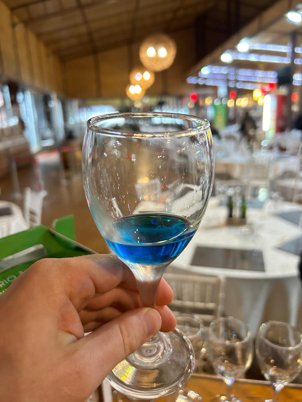 Viña del Mar e Valparaíso