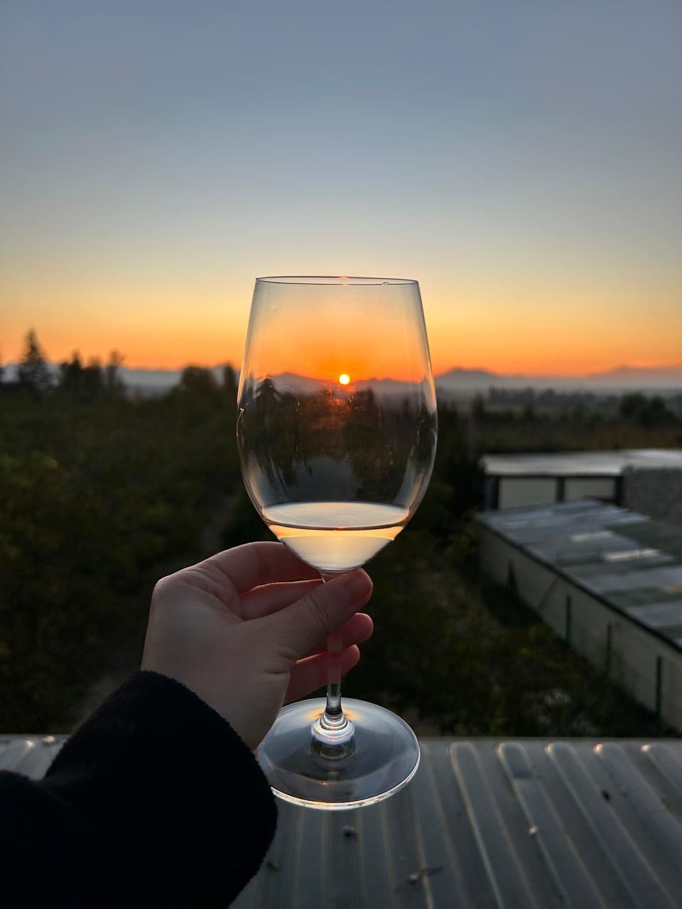 Vinícola Alyan Sunset