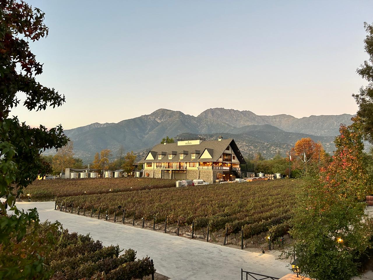 Vinícola Alyan Sunset