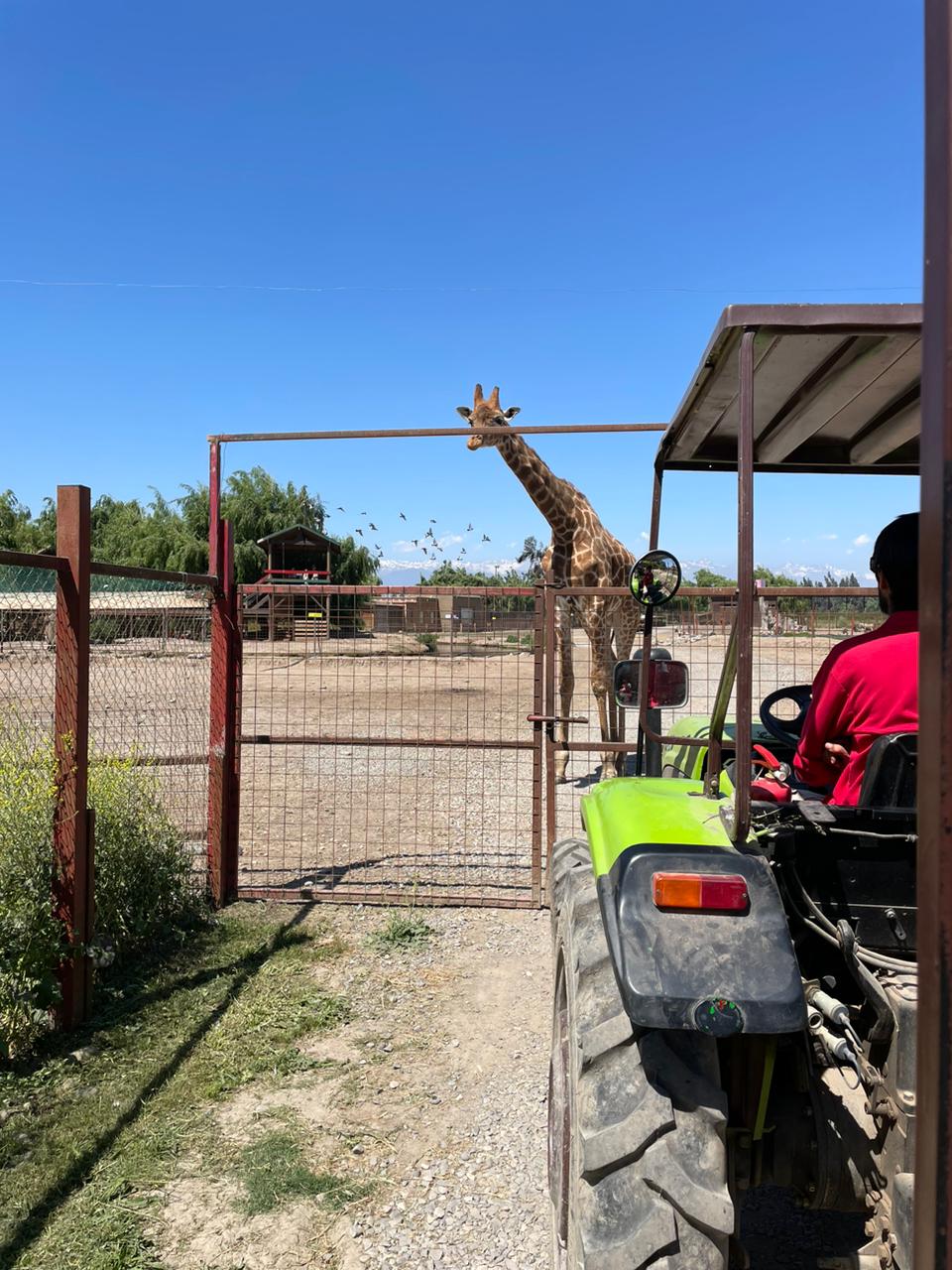 Parque Safari