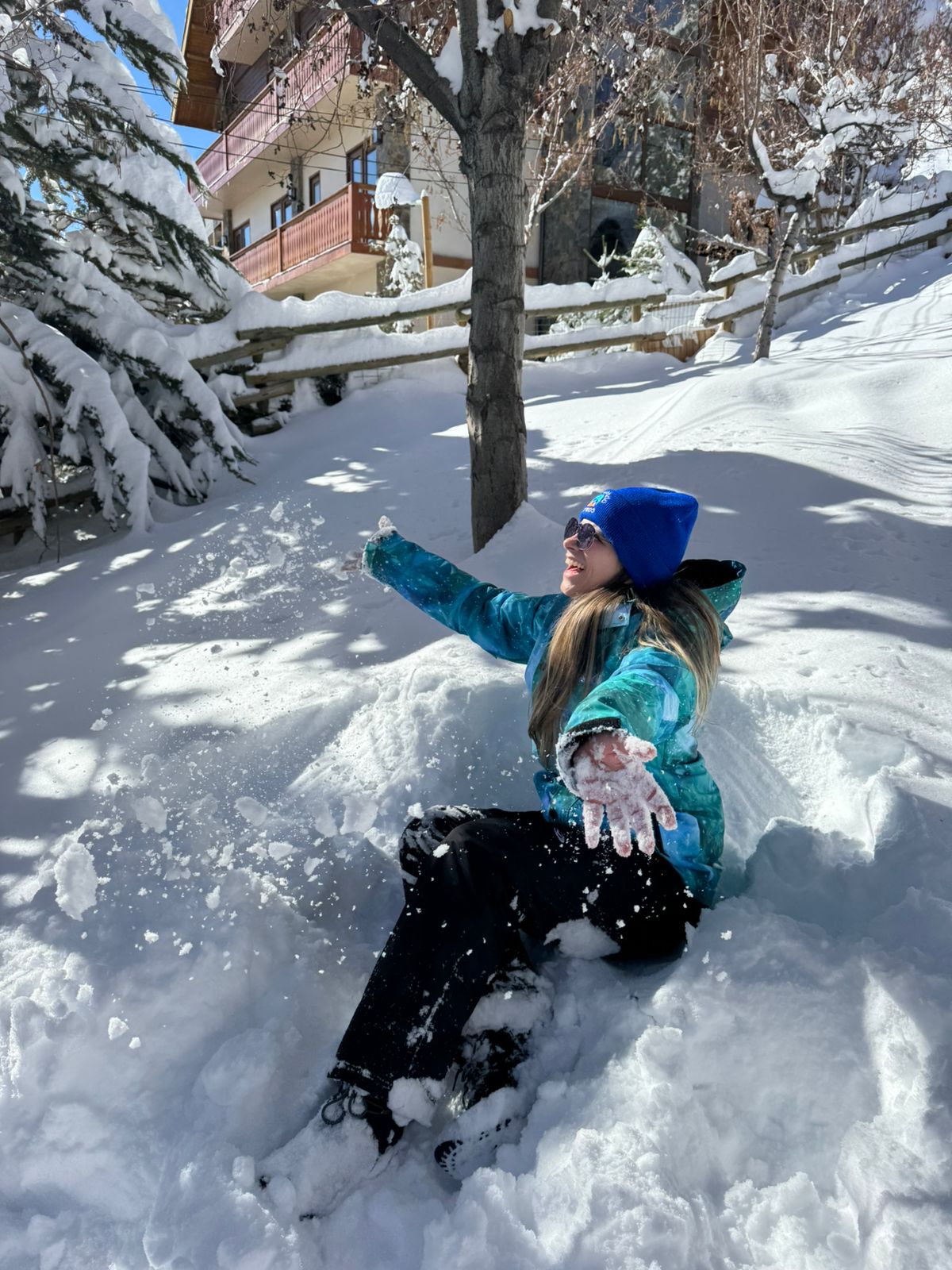 Tour panorâmico - Farellones e El Colorado / Valle Nevado