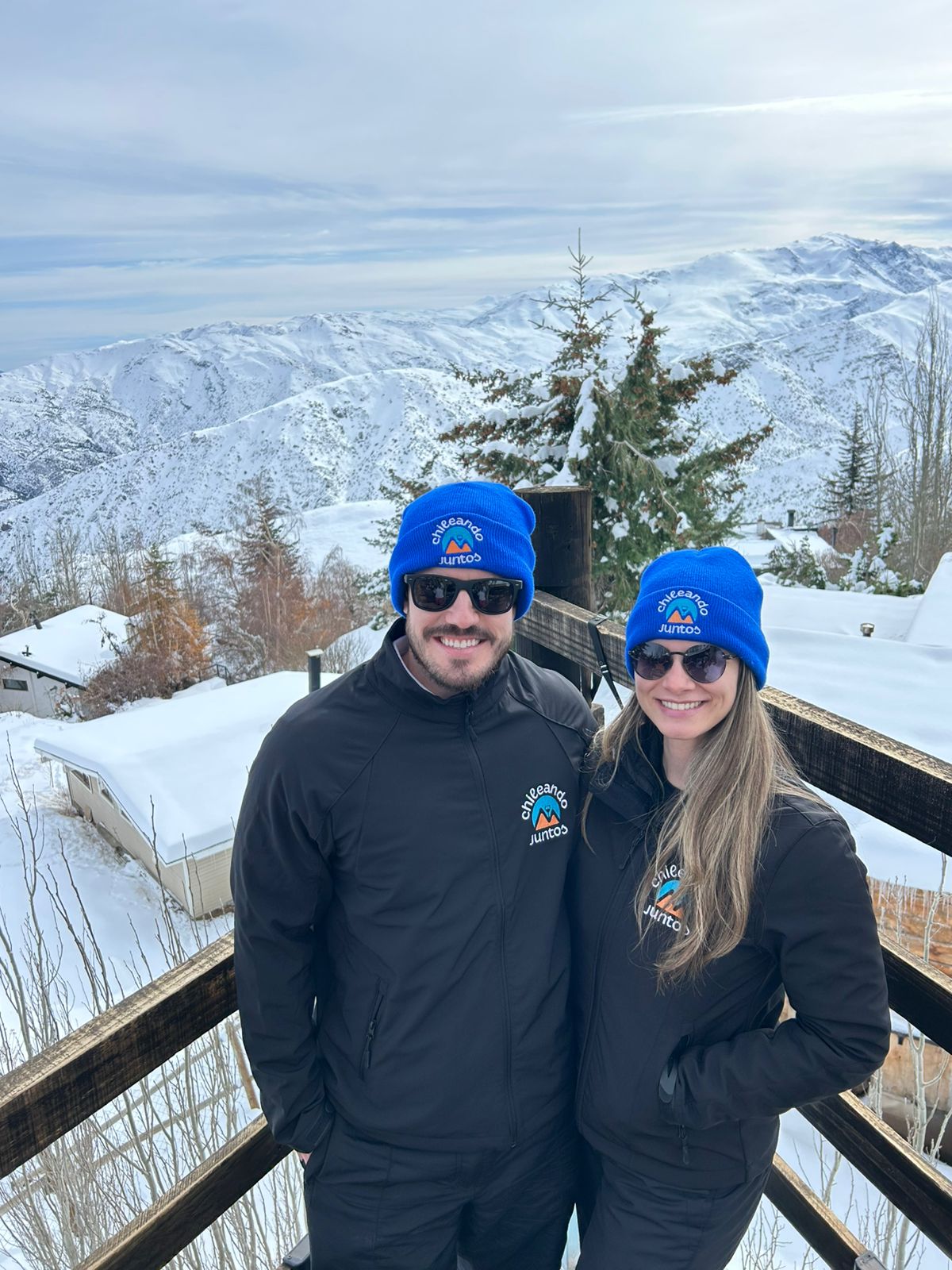 Tour panorâmico - Farellones e El Colorado / Valle Nevado
