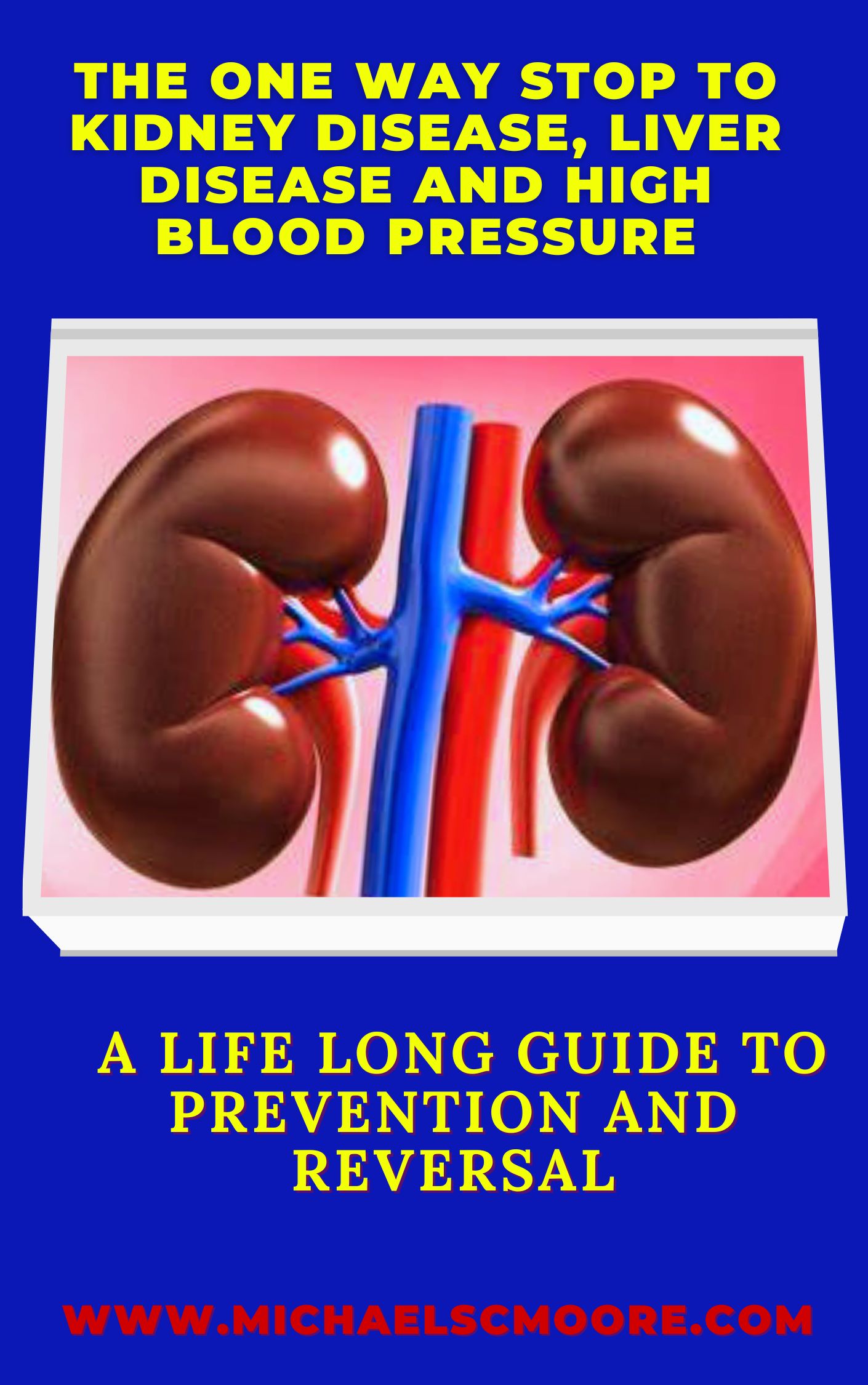The one way stop to kidney disease, liver disease and high blood pressure (NGN 1,500)