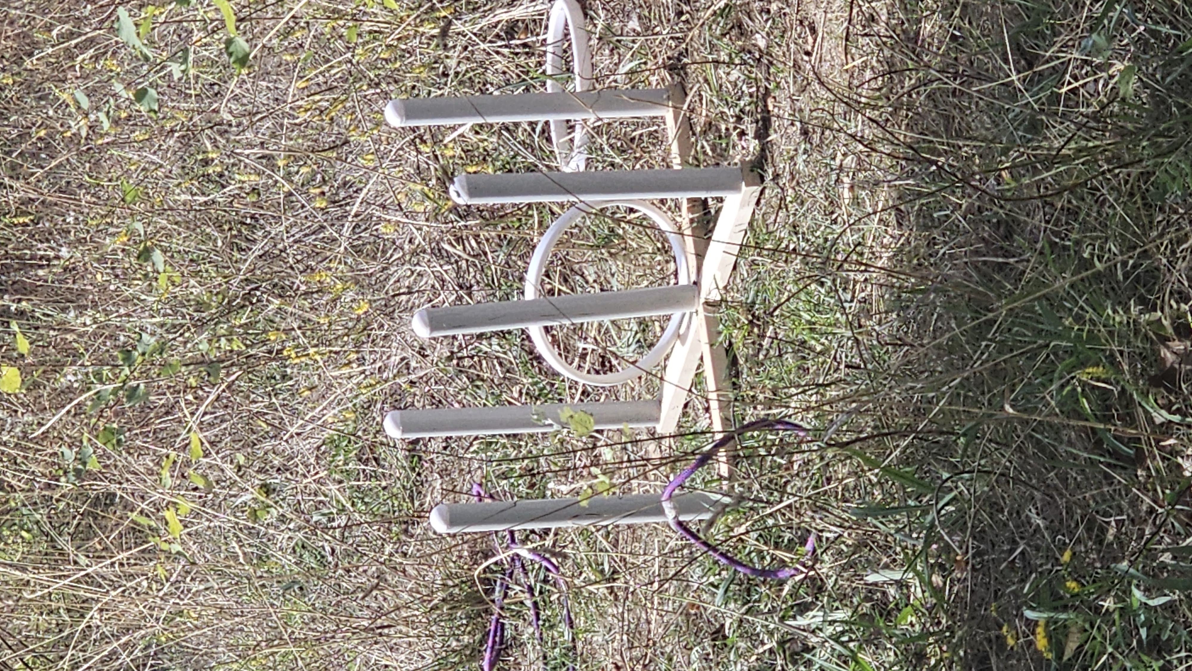 Workshop e Laboratori