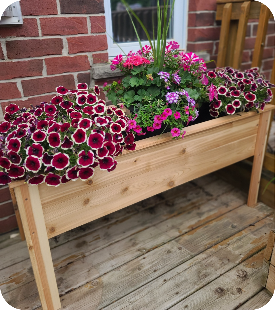 Elevated outdoor cedar planter box