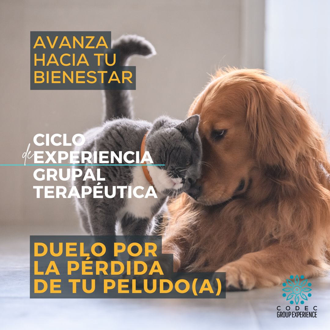 Duelo por la pérdida de tu animal de compañía