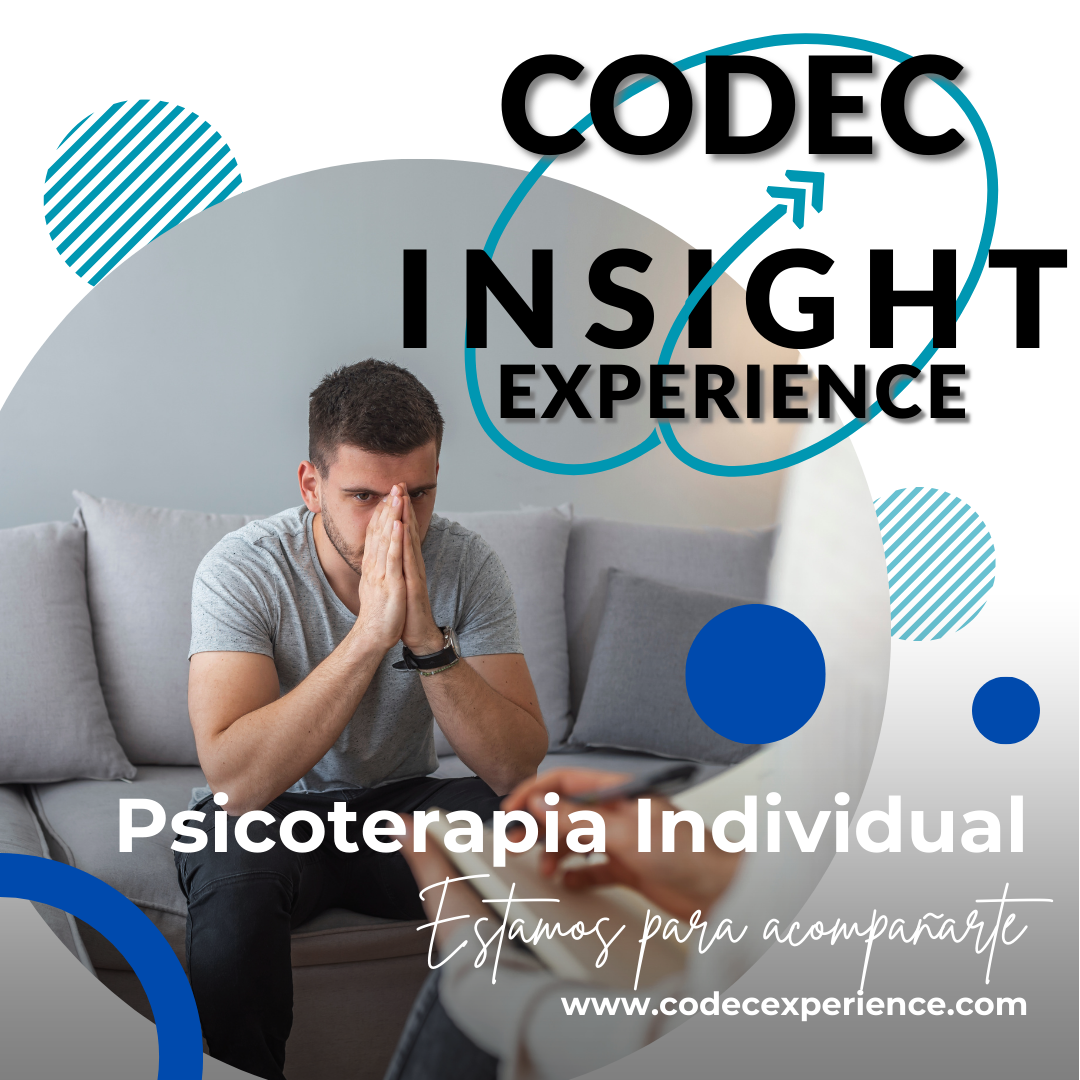 Experiencia terapéutica y de consultoría individual