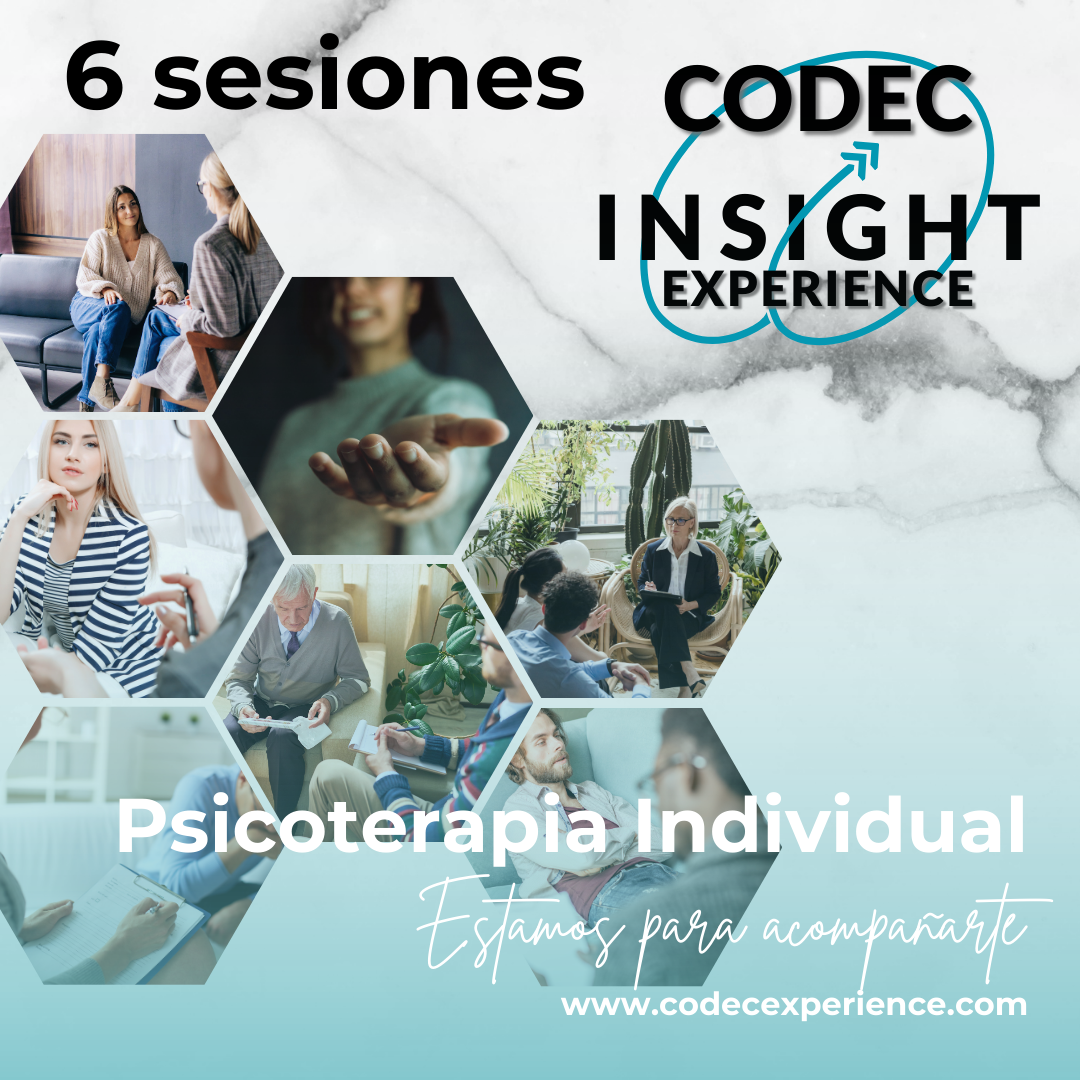 Experiencia terapéutica y de consultoría individual x6