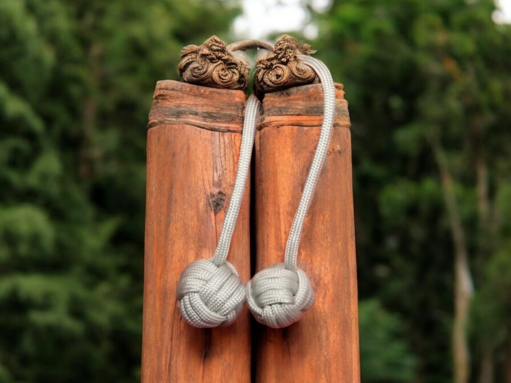 Begleri de paracord