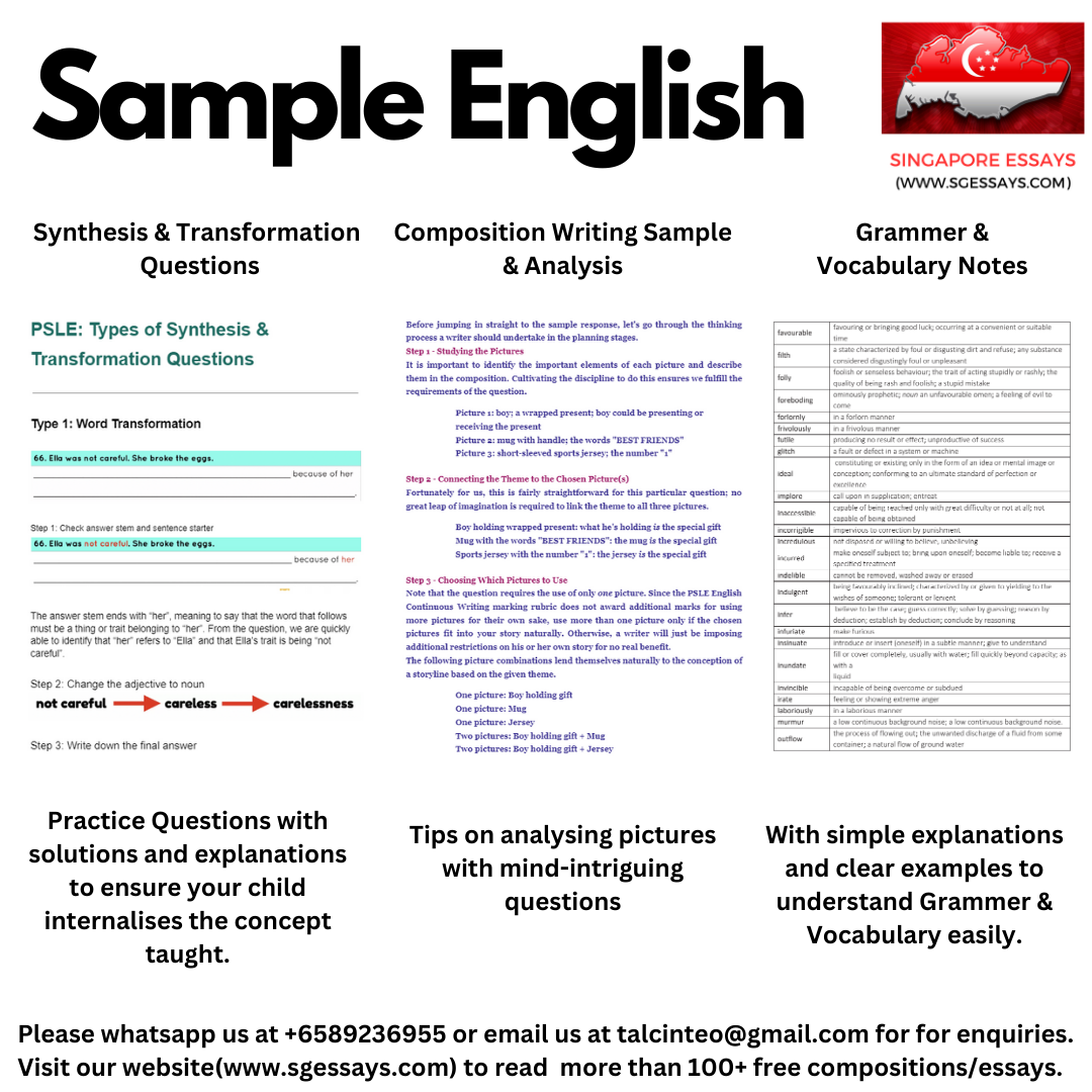 PSLE EMSCM 2025 Bundle Package (English Math Science Chinese Higher Chinese Malay | P5 P6 | Notes | Past Year Prelim Papers | Topical Question Bank | Answering Guide | Summary Sheets)