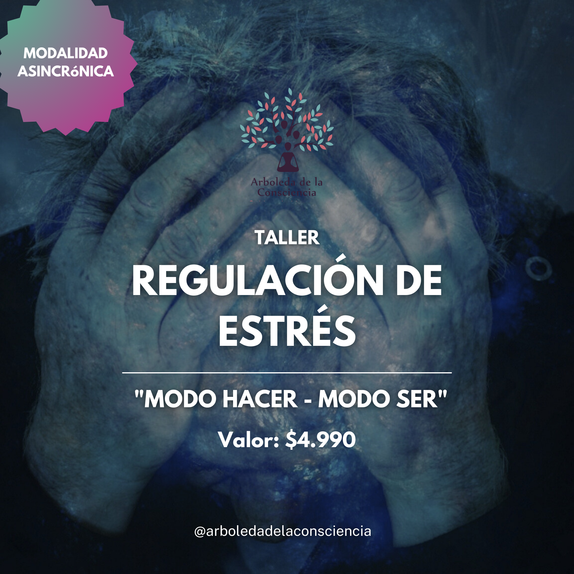 Taller "Regulación del estrés: Modo hacer - modo ser"