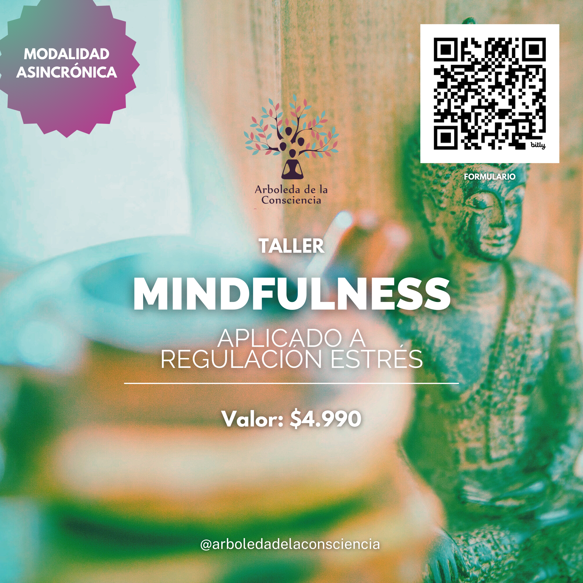 Taller "Mindfulness aplicado a la regulación del estrés"