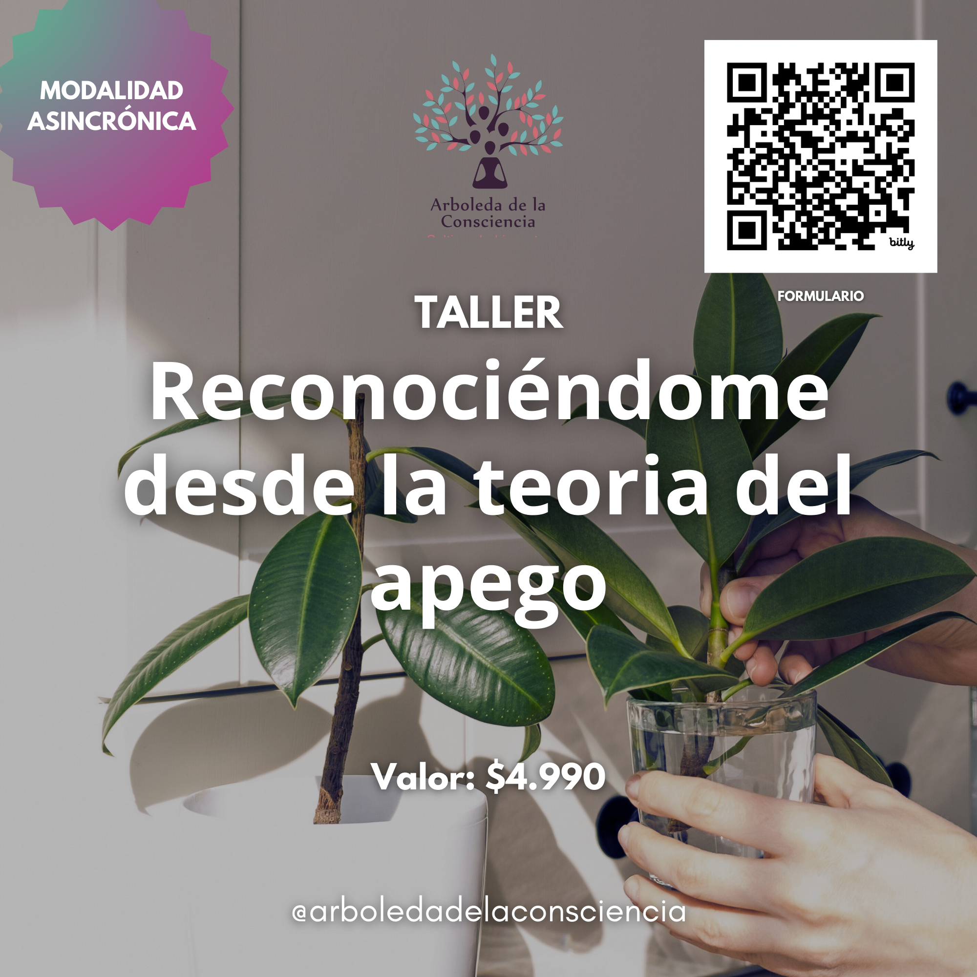 Taller "Reconociendome a través de la Teoría del Apego"