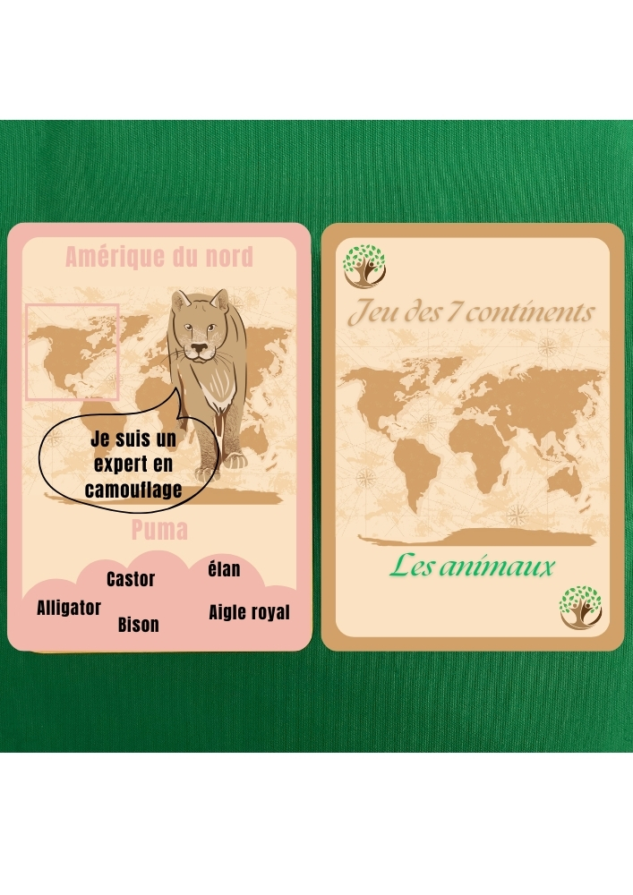 Jeu de 7 continents - Les animaux