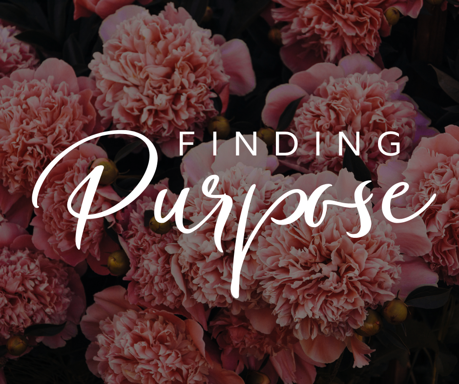 Finding Purpose
