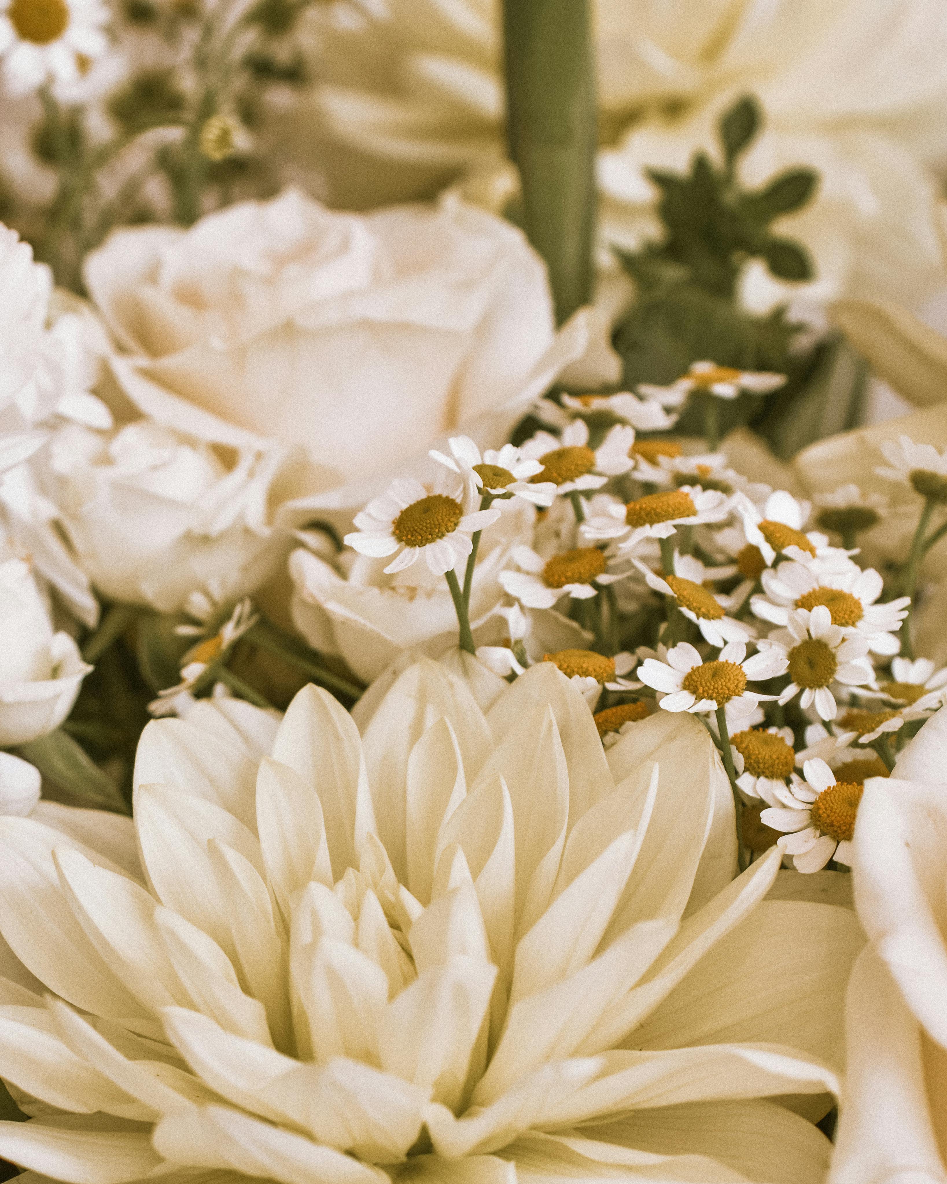 The Intuitive Woman’s Guide for Coming Back to God