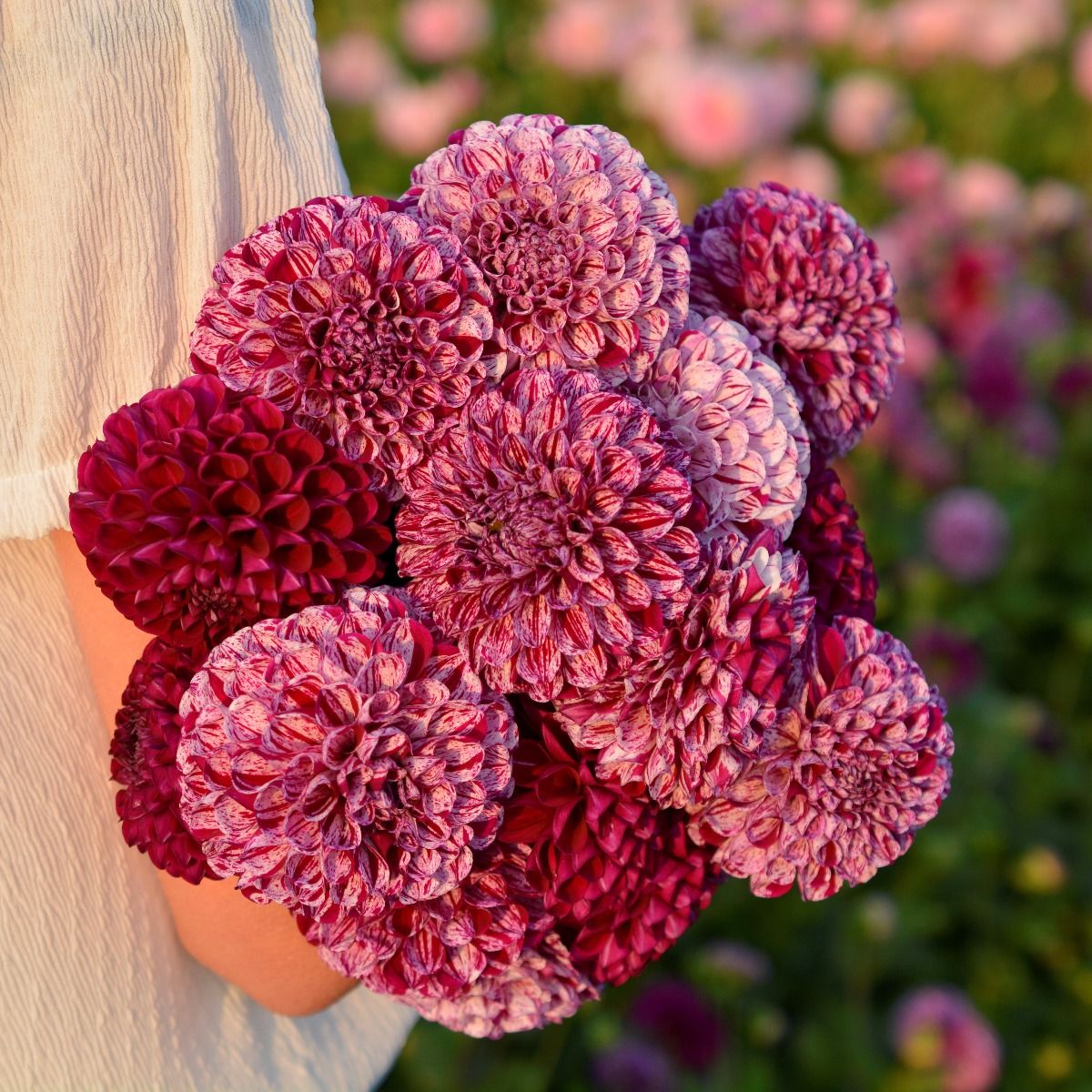 Jurginas - Marble ball