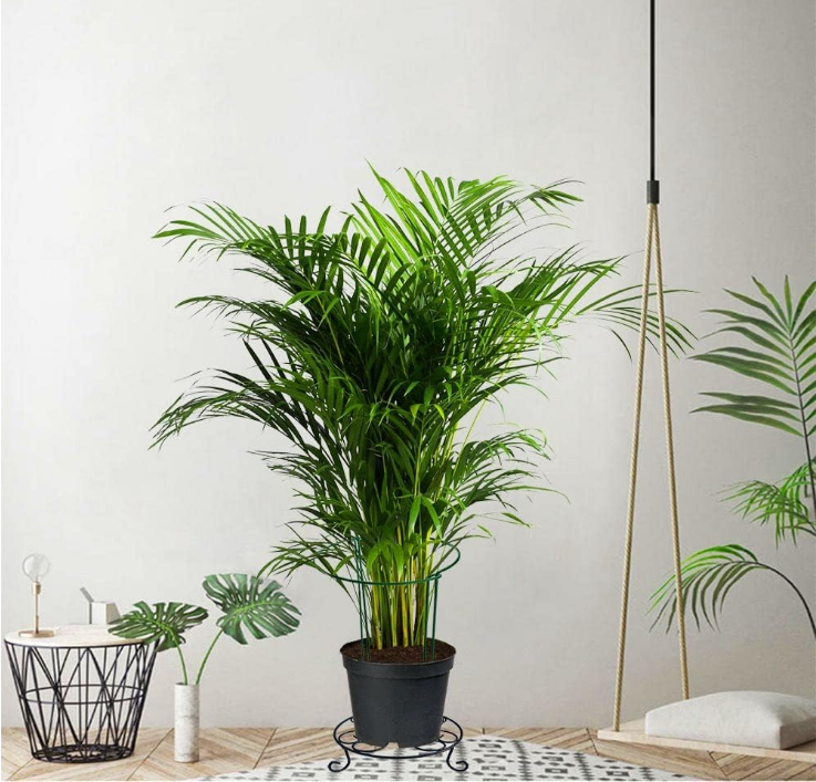 Plant Stand 10 inch Black Potted Plant Stand, Flower Pot Rack Holder, 6 Pack