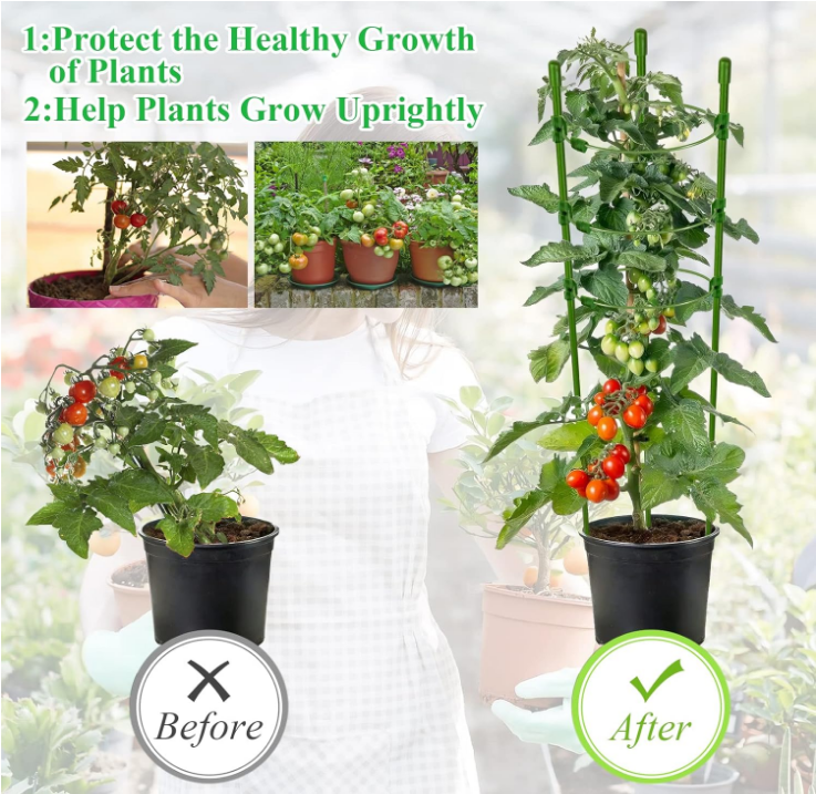 6 Packs 36inch Plant Support Cages with 3 Adjustable Support Rings- Large Tomato Cage for Pots Plant Holder for Home Garden Balcony for Orchids, Tomato, Vegetables, Flowers, Climbing Plants